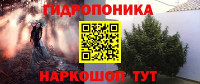экстази Кингисепп
