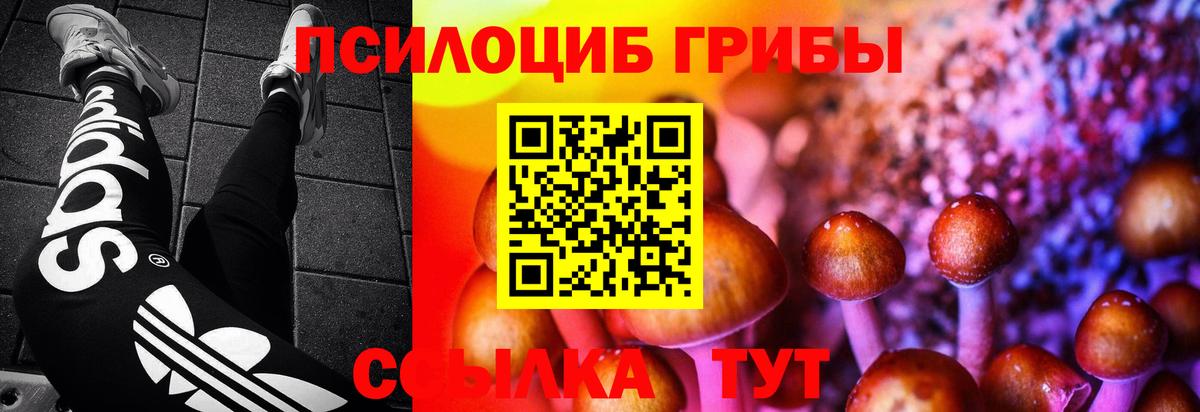 Псилоцибиновые грибы прущие грибы Гусь-Хрустальный