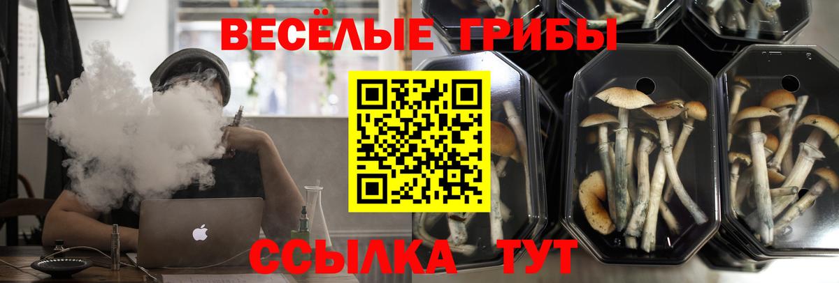 Псилоцибиновые грибы прущие грибы  Псилоцибиновые грибы мицелий  Гусь-Хрустальный  Вход с VPN 